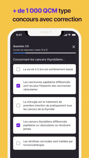 Hippocast