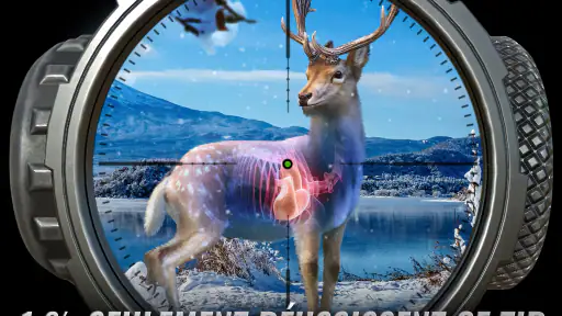 Hunting Clash : Jeux de chasse