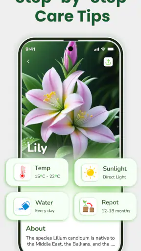 Identificateur de plantes