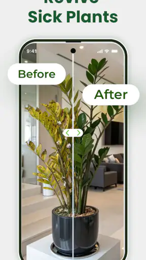 Identificateur de plantes