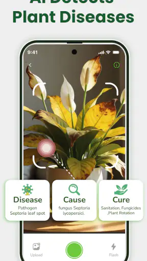 Identificateur de plantes