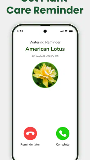 Identificateur de plantes