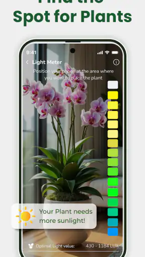 Identificateur de plantes