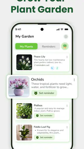 Identificateur de plantes