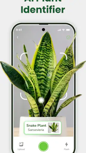 Identificateur de plantes