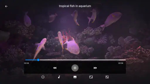 IPTV Smarter 4K Player