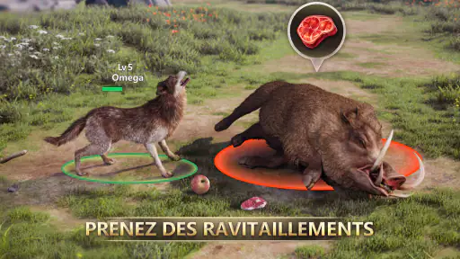 Jeu de Loup