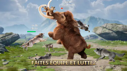 Jeu de Loup