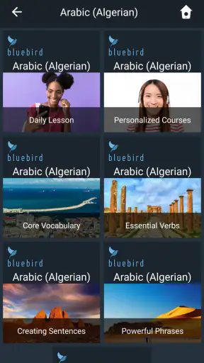 Learn Algerian Arabic. Speak A