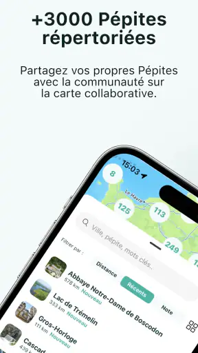 Les Pépites de France