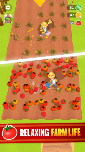Little Farm Story
