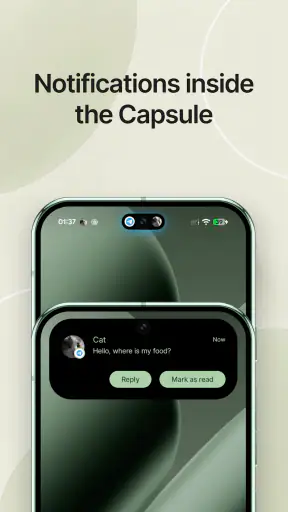 Material Capsule : Dyn. Island