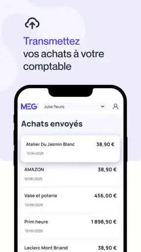 MEG - Mon Expert en Gestion