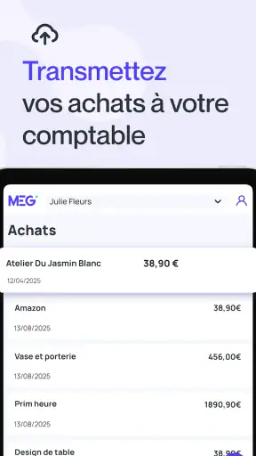 MEG - Mon Expert en Gestion