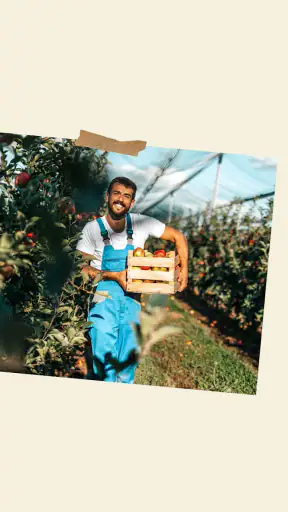 Mon Marché : Livraison courses