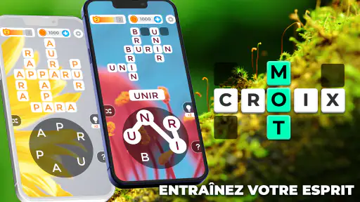 Mots Croisés: Jeu de Lettres