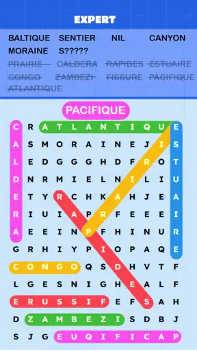 Mots Mêlés Puzzle Challenge