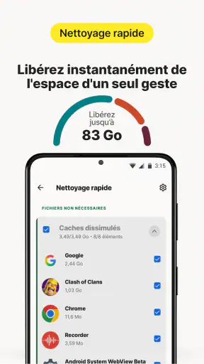 Norton Cleaner : Le nettoyeur