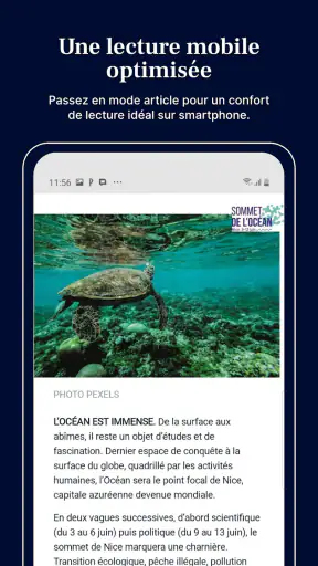 NVM : Info Nice, Var, Monaco