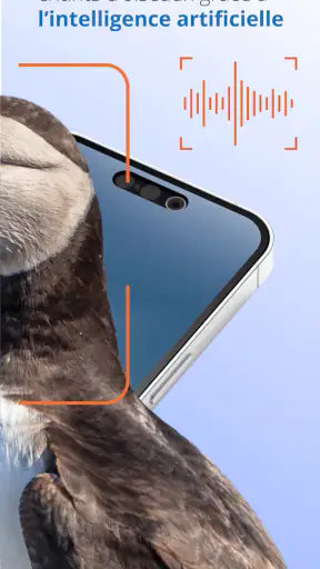 Ois'App - Oiseaux de France