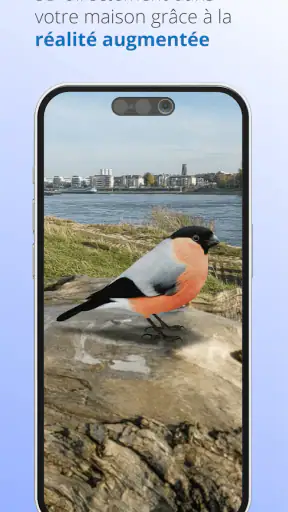 Ois'App - Oiseaux de France