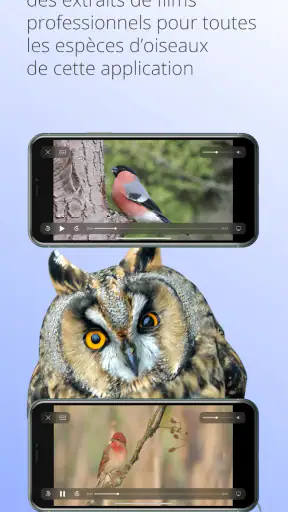 Ois'App - Oiseaux de France