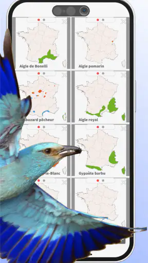 Ois'App - Oiseaux de France