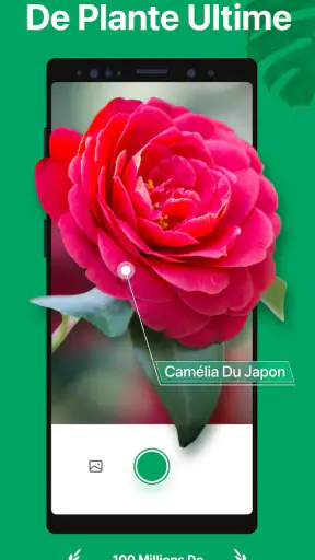 PictureThis Plante Identifier
