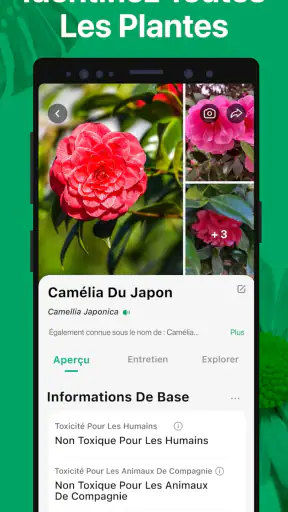 PictureThis Plante Identifier