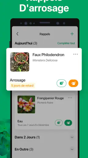 PictureThis Plante Identifier