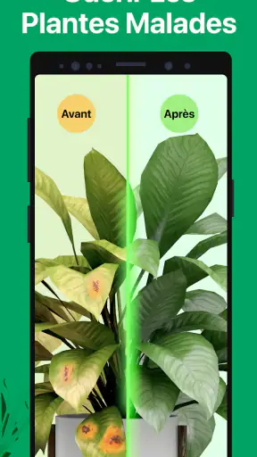 PictureThis Plante Identifier