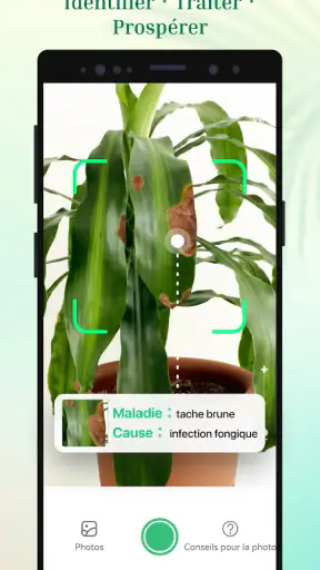 Plant Parent - Guide entretien