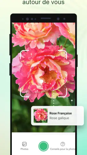 Plant Parent - Guide entretien