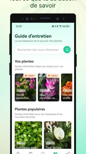 Plant Parent - Guide entretien