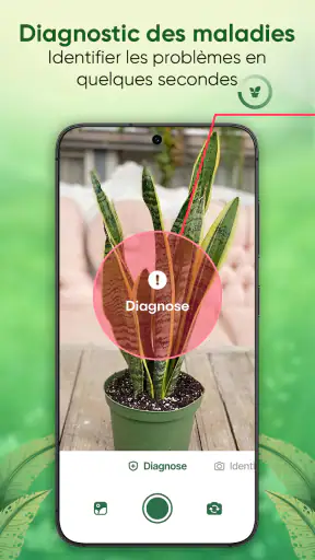 Plantes Reconnaissance & Soins