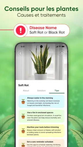Plantes Reconnaissance & Soins