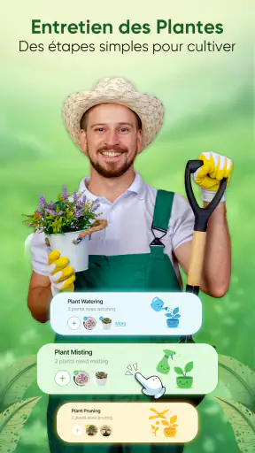 Plantes Reconnaissance & Soins