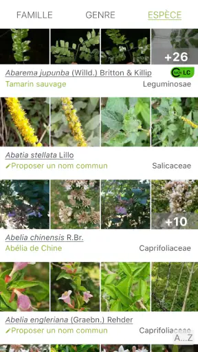 PlantNet Identification Plante