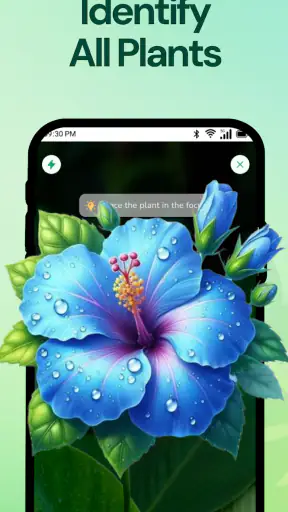 PlantScan-AI: Plante & Jardin