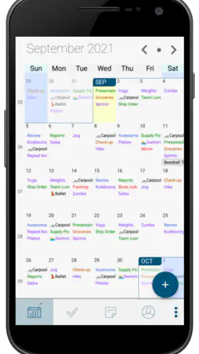 Pocket Informant