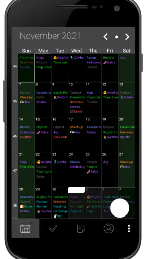 Pocket Informant