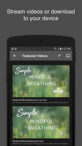 Qigong for Vitality