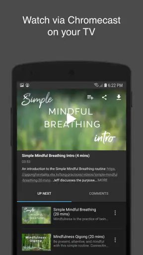 Qigong for Vitality