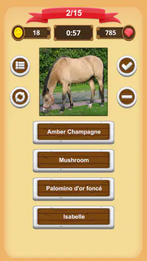 Robe Du Cheval - Quiz
