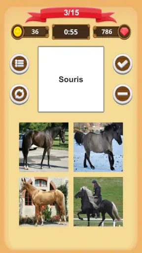Robe Du Cheval - Quiz
