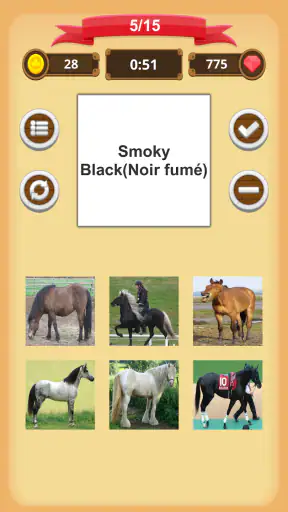 Robe Du Cheval - Quiz