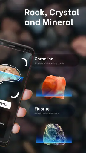 Rock & Stone Identifier