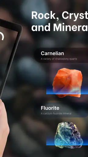 Rock & Stone Identifier