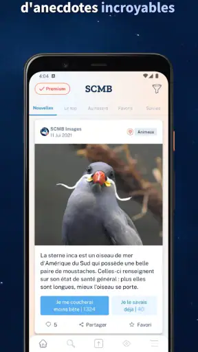 Se Coucher Moins Bête