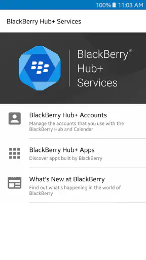 Services BlackBerry Hub+